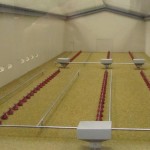 poultry house trade show model