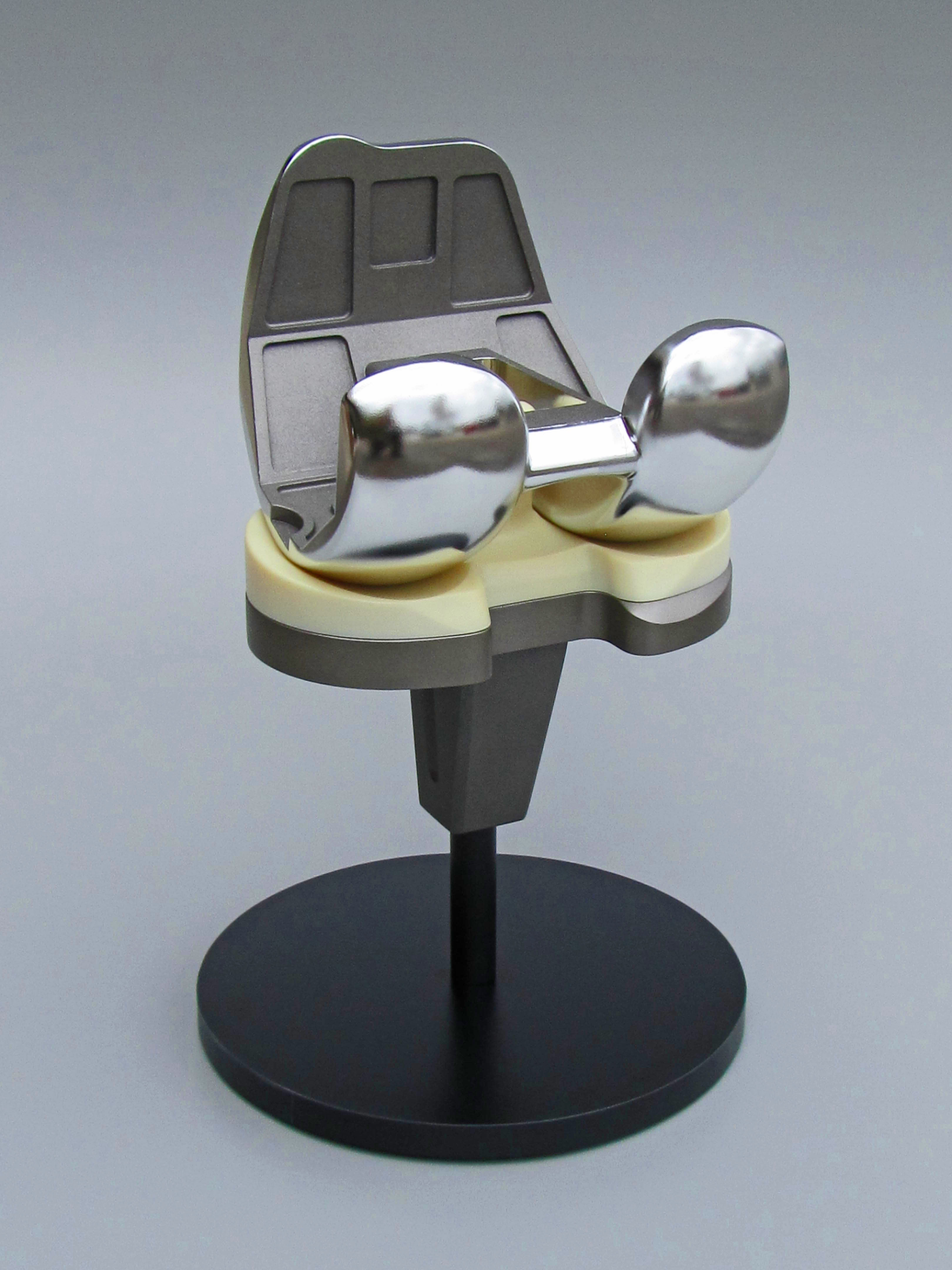 Product Model Knee Implant